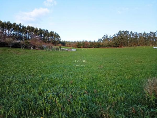 Terreno en Valdoviño photo 2