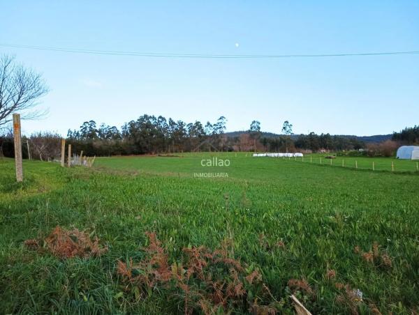 Terreno en Valdoviño photo 3