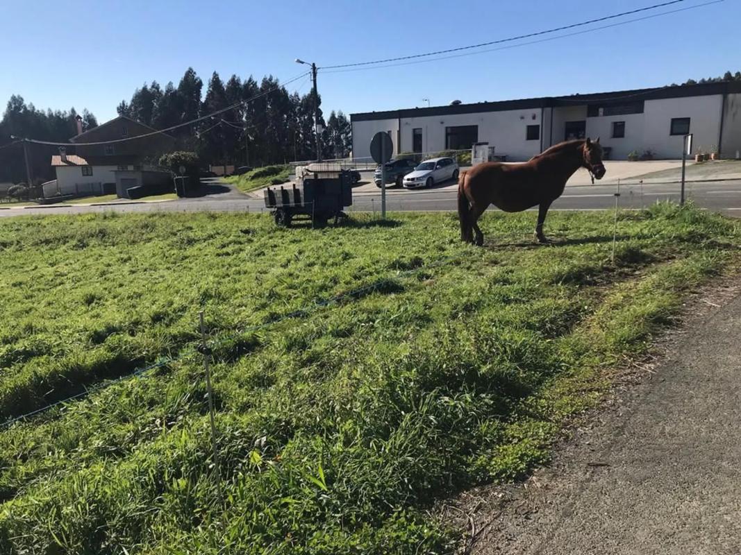 Terreno en venta en San Sadurniño, A Coruña photo 3