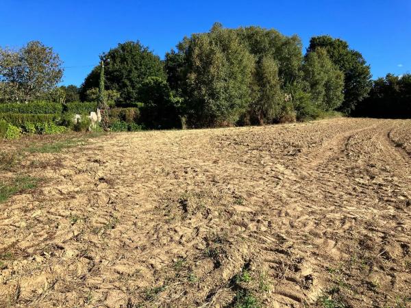 Terreno en Pallizo, 1 photo 1