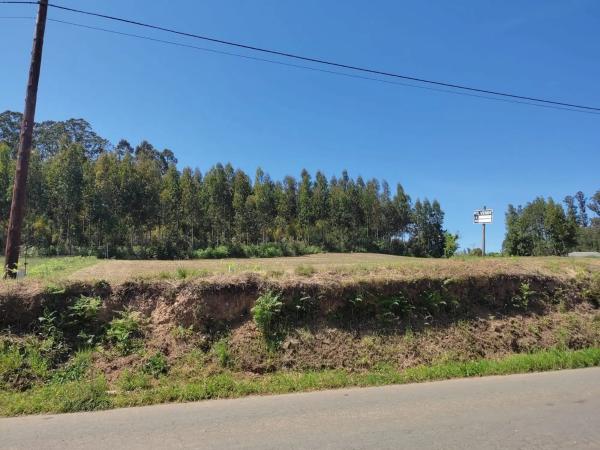 Terreno en camino dos Bicas, km 1 photo 1