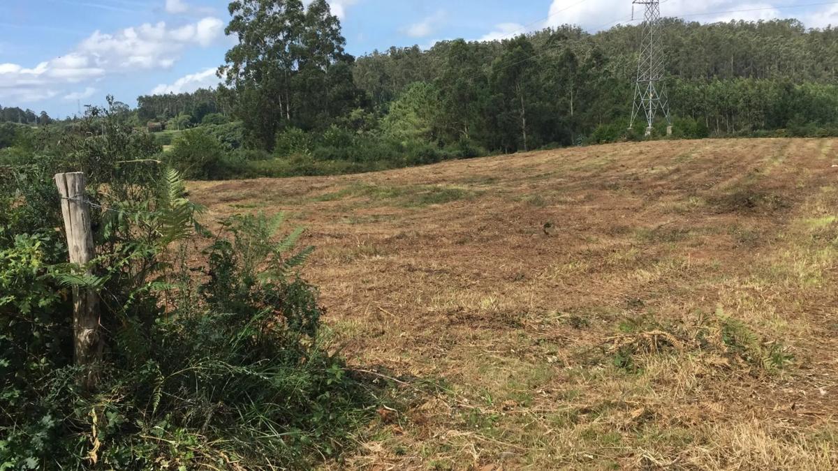 Terreno en venta en San Sadurniño, A Coruña photo 5