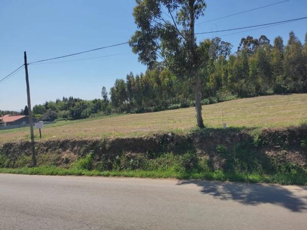 Terreno en Lugar Bicas, km 1 photo 2