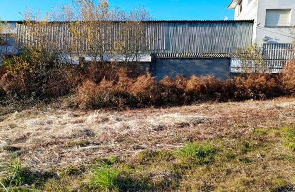 Terreno en camino Betouto photo 2