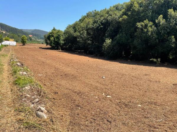 Terreno en carretera dp-3603 s/n photo 1