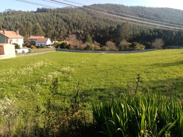 Terreno en calle san clemente s/n thumbnail 2