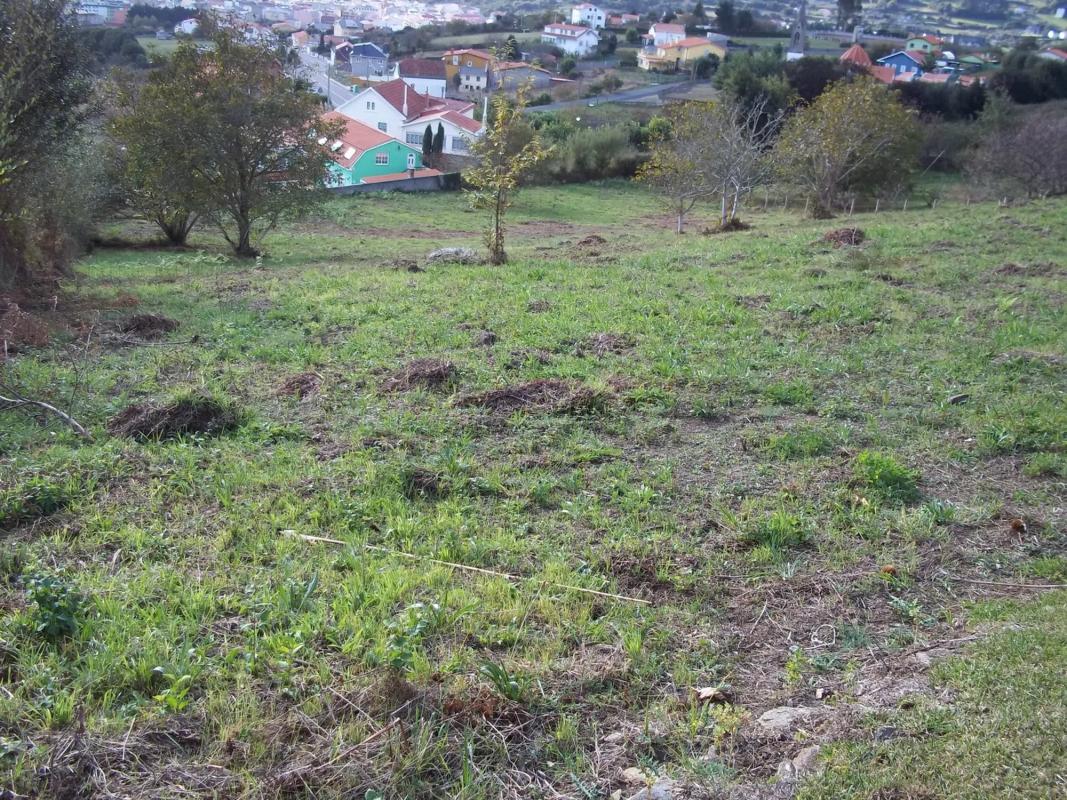 Terreno en venta en Cedeira, A Coruña photo 1