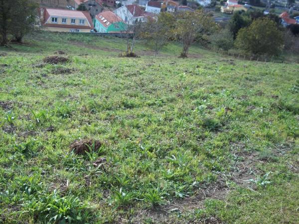 Terreno en Lugar Rozabella s/n thumbnail 1