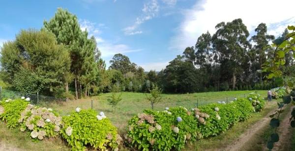 Terreno en Aldea a Malata s/n sn photo 1
