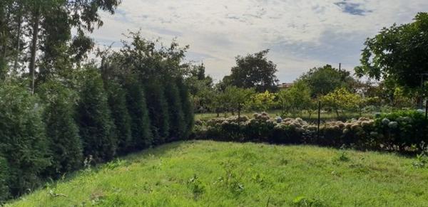 Terreno en Aldea a Malata s/n sn thumbnail 2