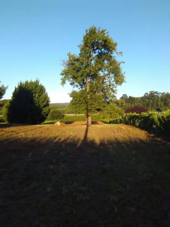Terreno en calle Galiñeiro s/n sn thumbnail 2