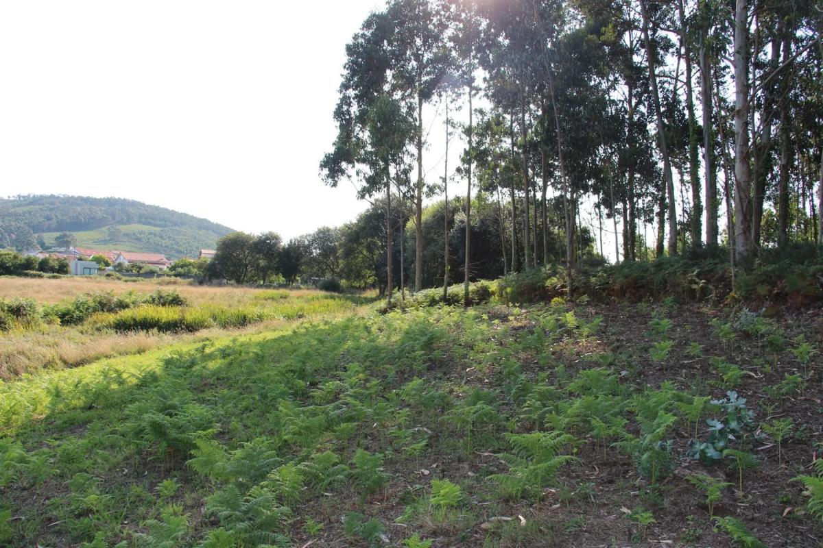Terreno en venta en Ferrol, A Coruña photo 3