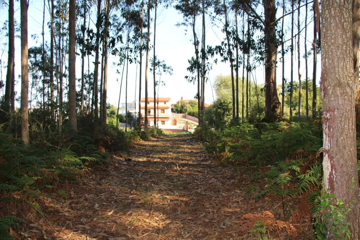 Terreno en venta en Ferrol, A Coruña photo 5