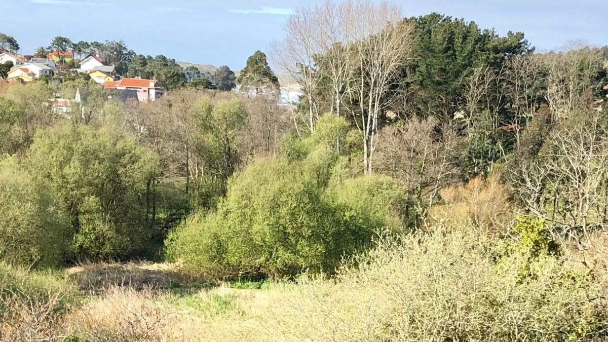 Działka na sprzedaż w Valdoviño, A Coruña photo 1