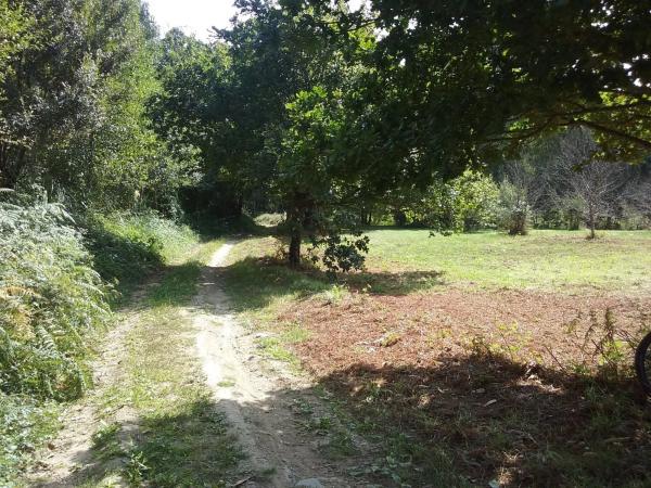 Terreno en pedrós s/n photo 1