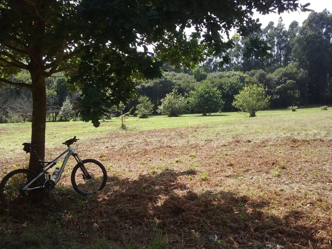 Terreno en venta en Ares, A Coruña photo 3