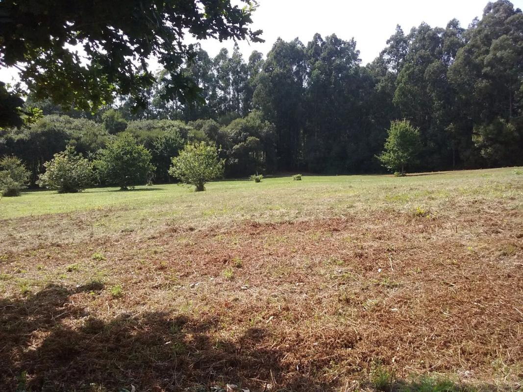 Terreno en venta en Ares, A Coruña photo 4