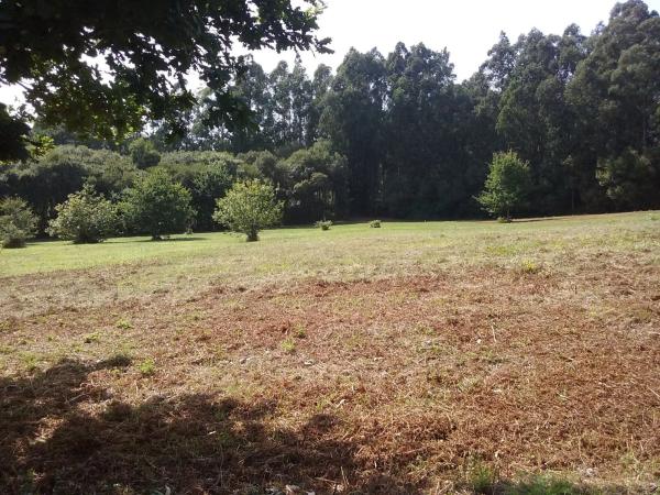 Terreno en pedrós s/n photo 4