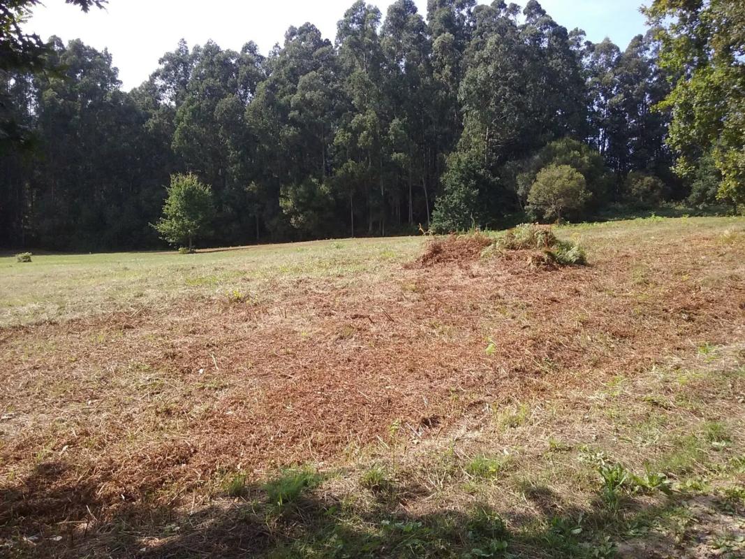 Terreno en venta en Ares, A Coruña photo 5