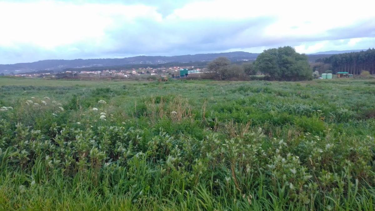 Działka na sprzedaż w Valdoviño, A Coruña photo 2