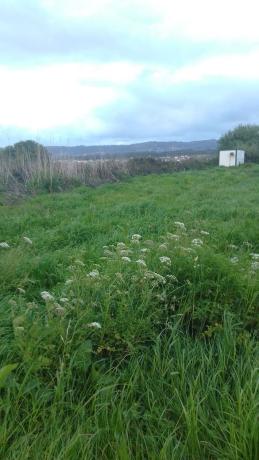 Terreno en ronda montefaro-baltar, 1 photo 3