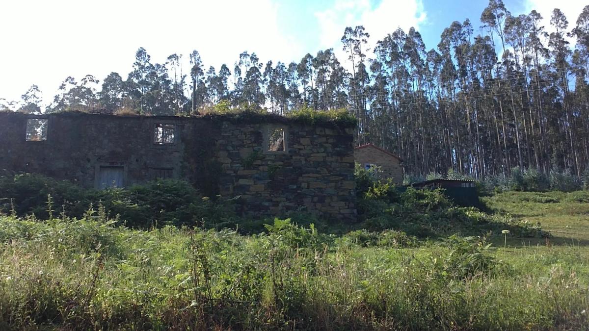 Land for sale in Cedeira, A Coruña photo 2