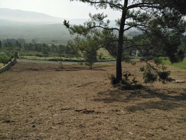 Terreno en Dp-3603, 283 photo 2