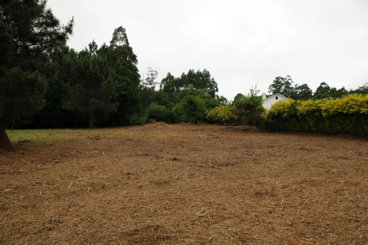 Terreno en venta en Neda, A Coruña photo 3