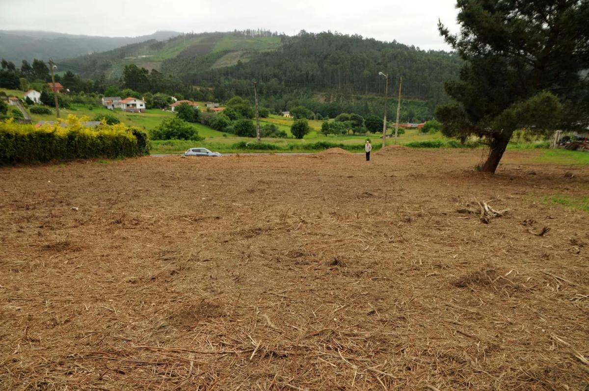 Terreno en venta en Neda, A Coruña photo 4