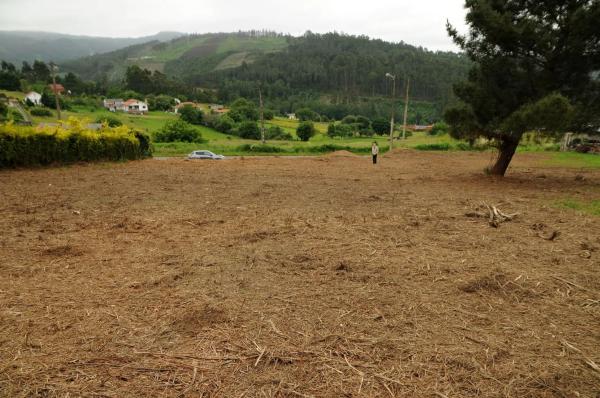 Terreno en Tras da Braña (Lugar da Cobeluda), km 504 photo 4