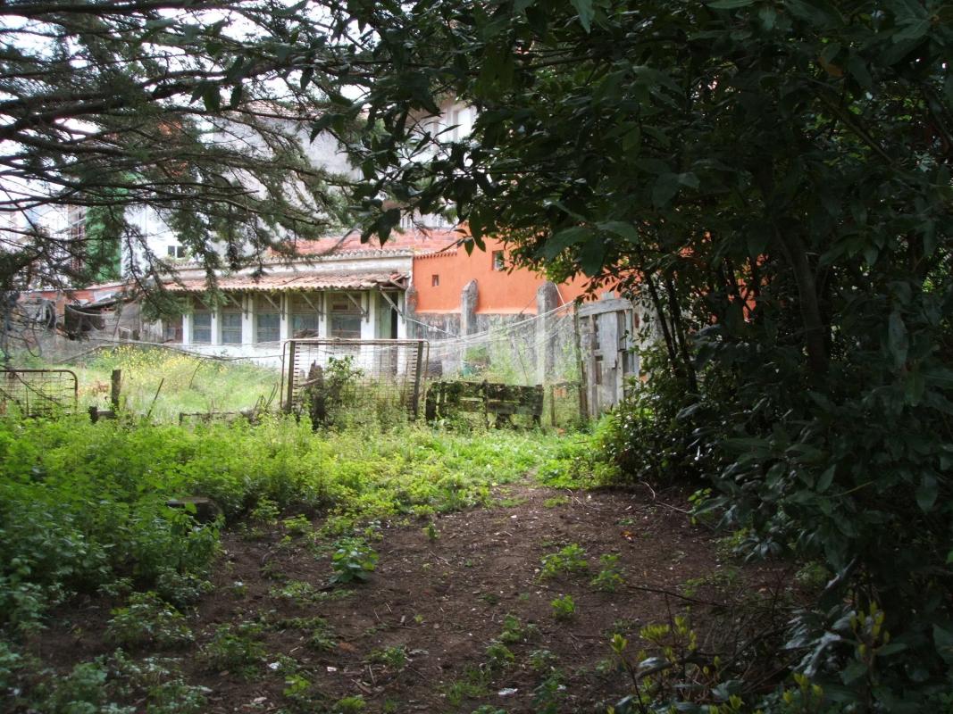 Terreno en venta en Cedeira, A Coruña photo 3