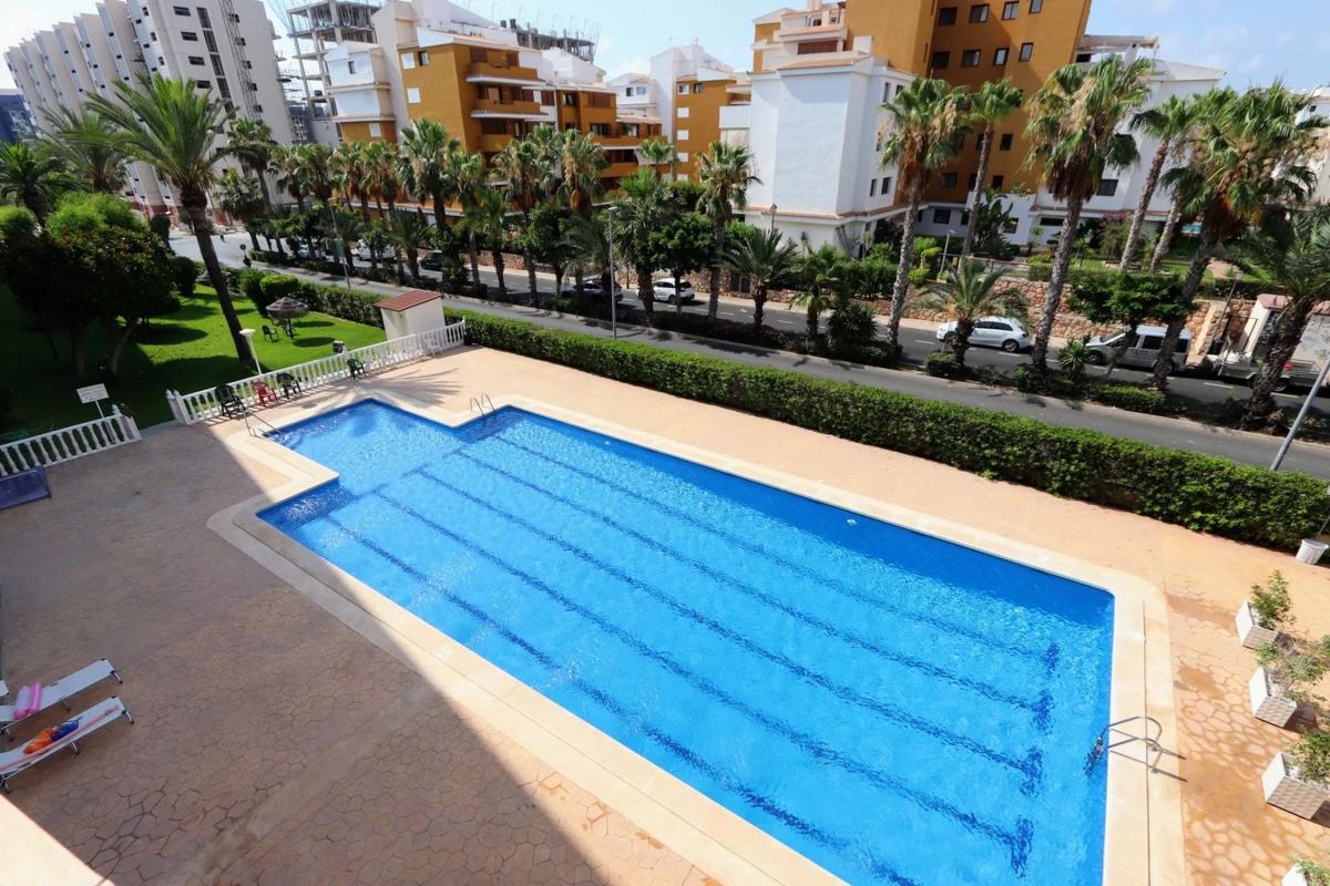 Venta de piso en Calle Bajamar, Torrevieja
photo 5