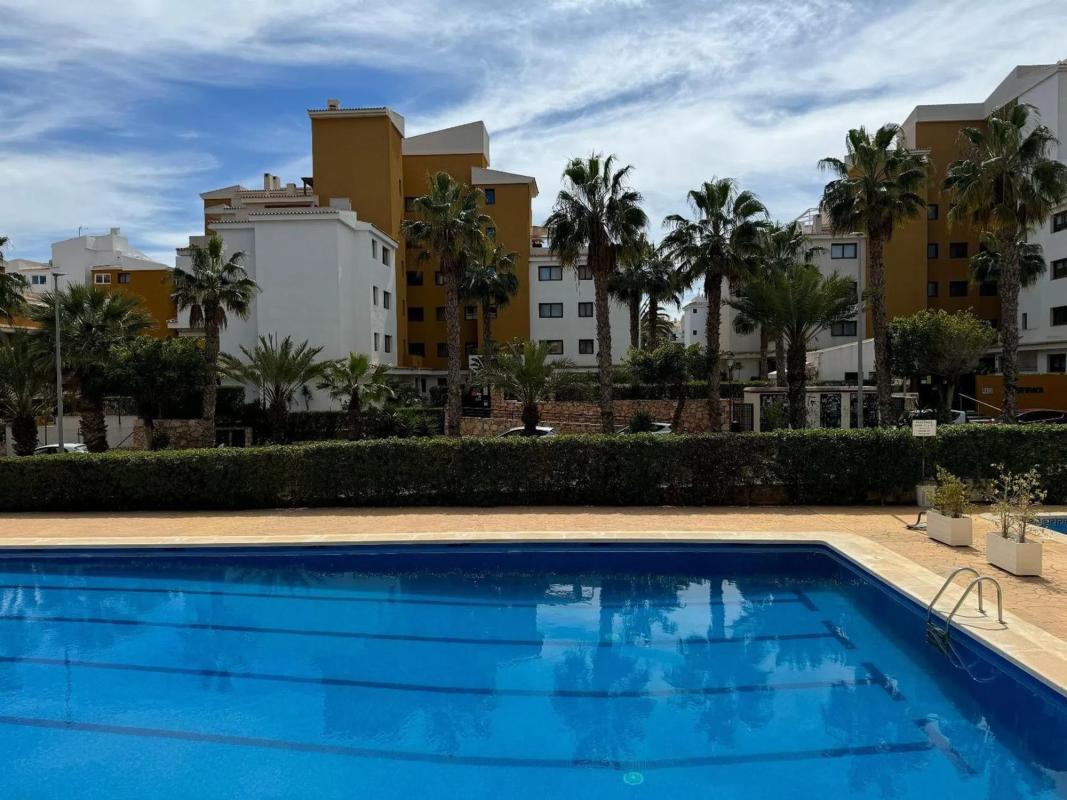 Sale of apartment in Calle Bajamar s/n, Torrevieja
 photo 3
