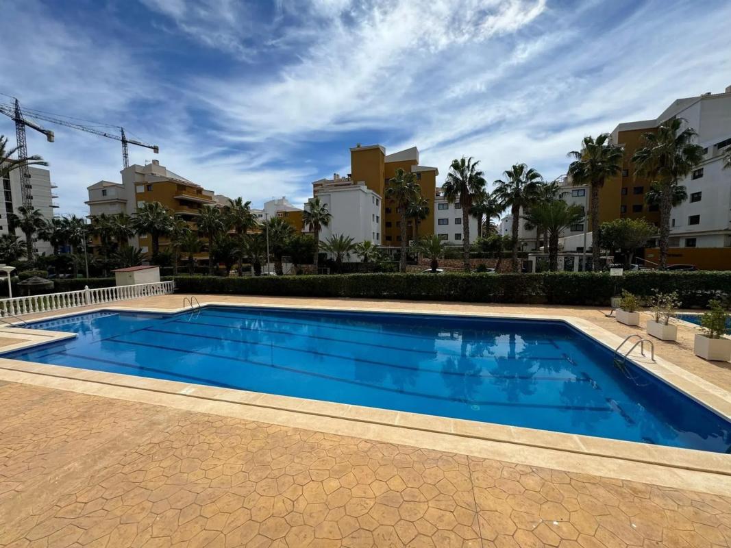 Sale of apartment in Calle Bajamar s/n, Torrevieja
 photo 5