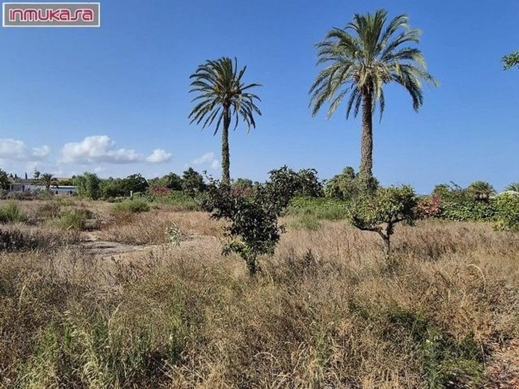 Properties for sale and rent in Spain photo 4