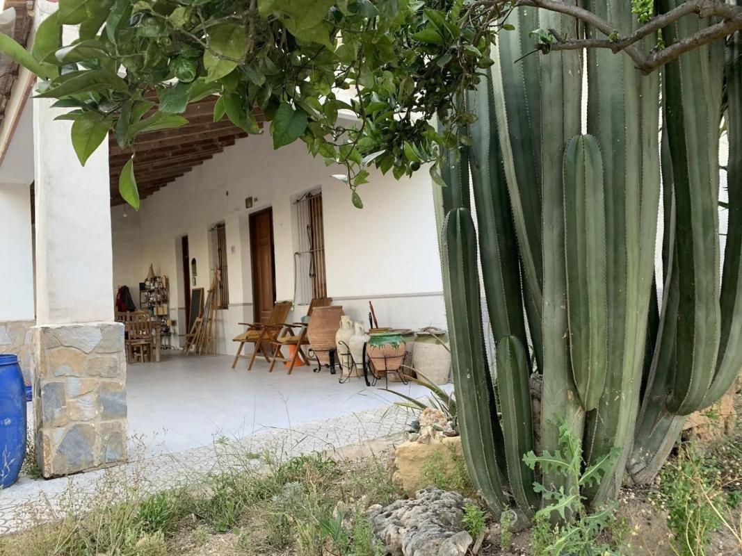 Properties for sale and rent in Spain photo 4