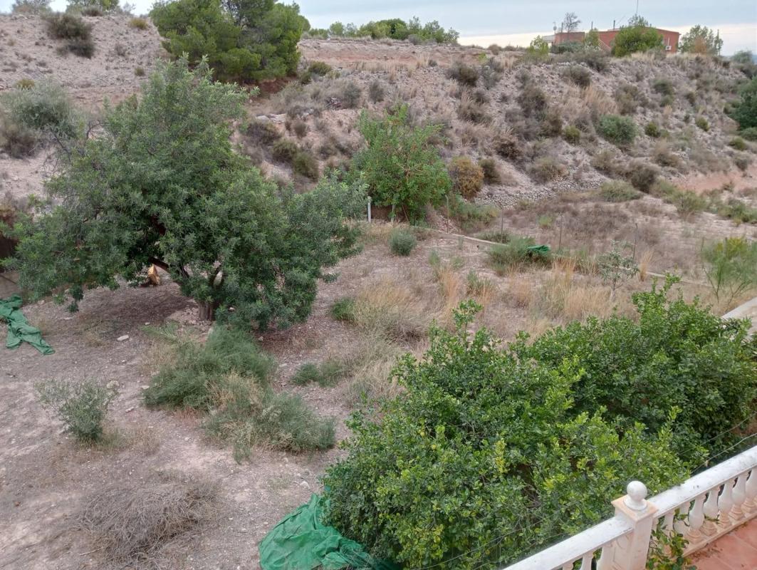 Propiedades en venta y alquiler en España photo 1