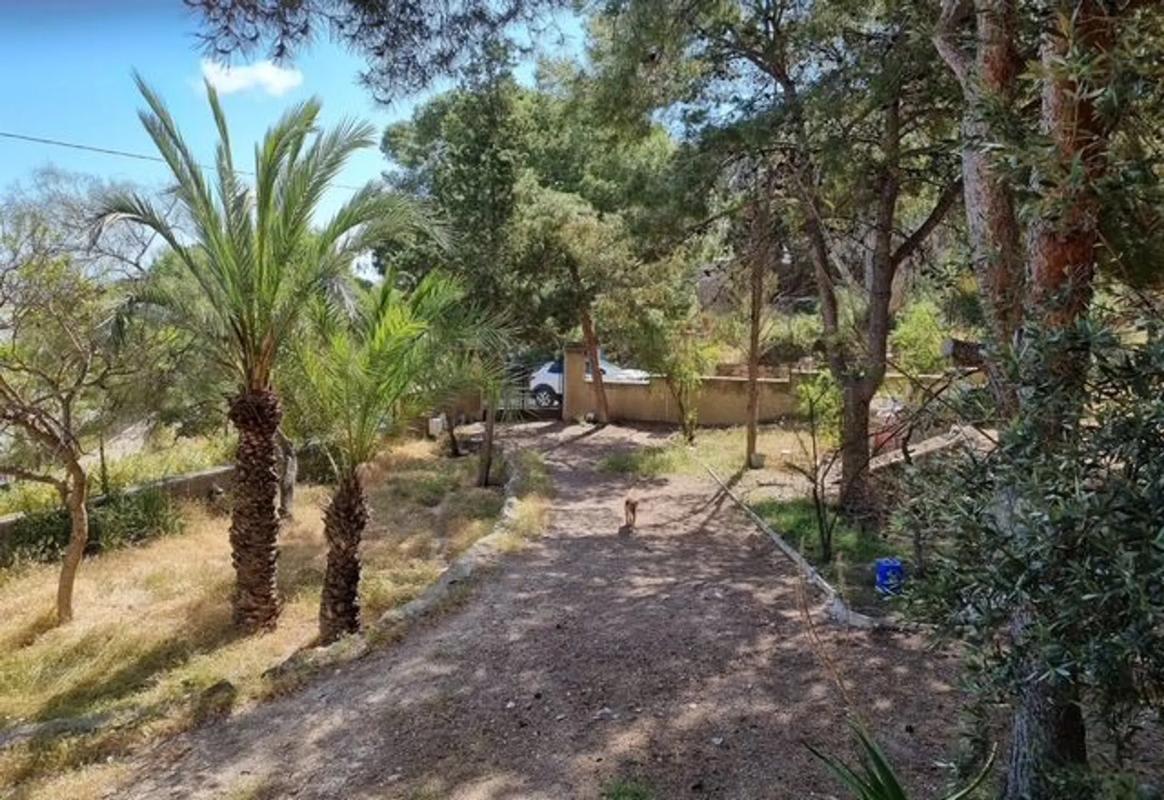 Properties for sale and rent in Spain photo 2