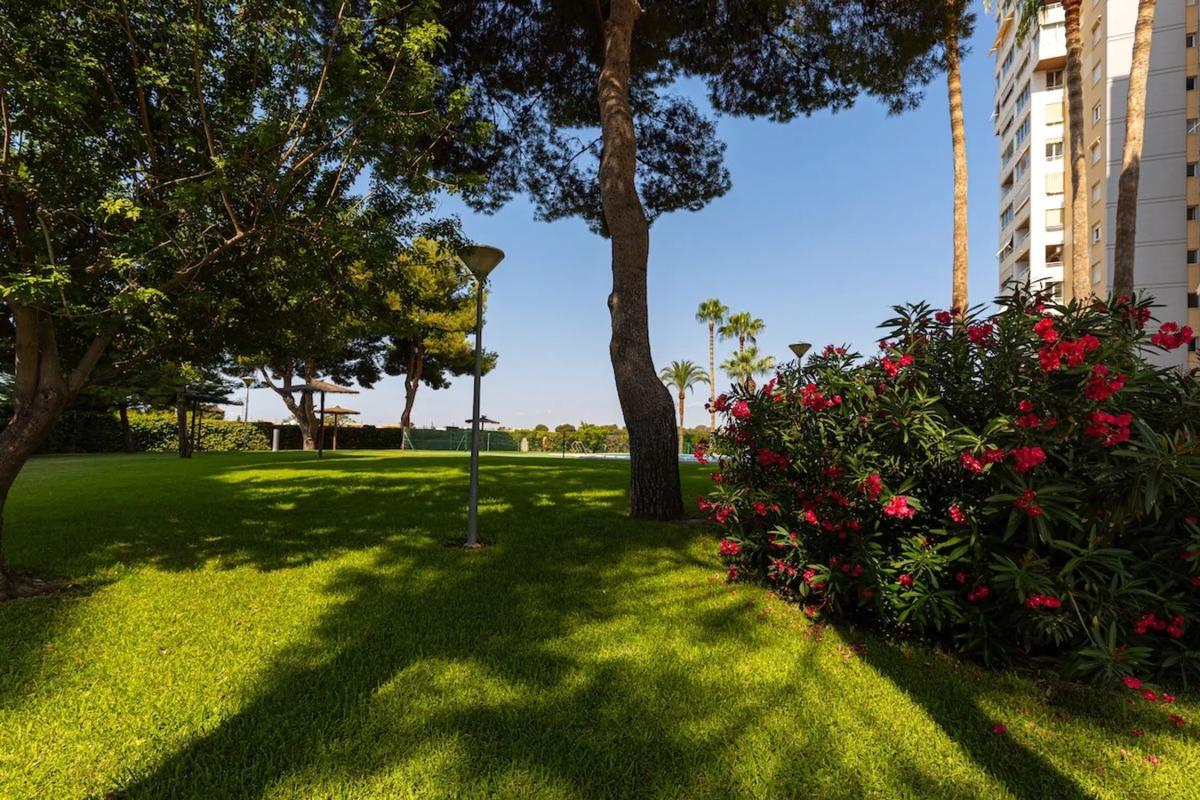Sale of apartment in CL OVIEDO, El Campello
photo 2