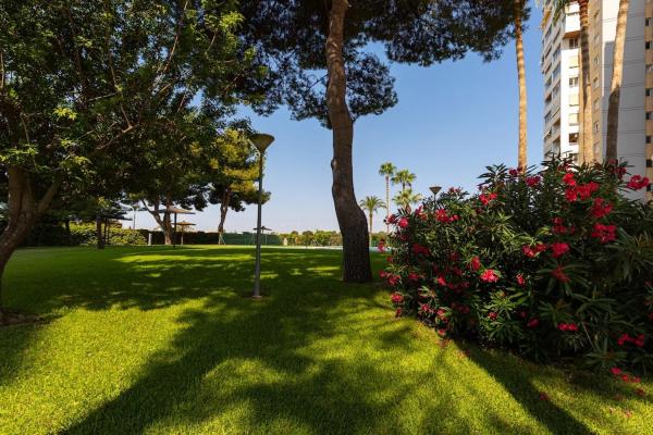 Квартира на продажу на  CL OVIEDO, Эль Кампельо photo 2