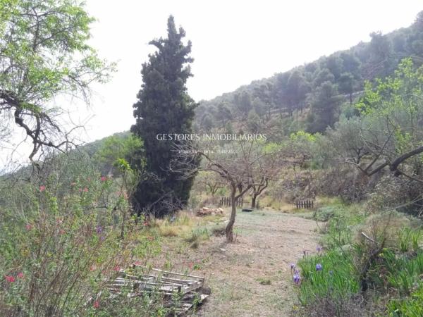 Casa independiente photo 1