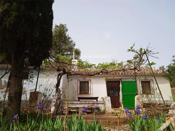 Casa independiente photo 2
