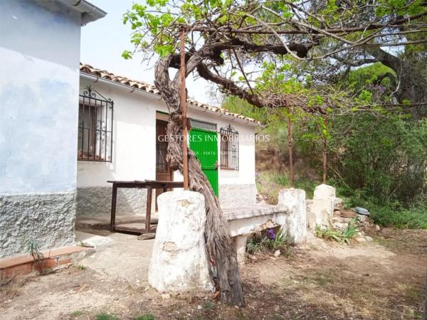 Casa independiente photo 3