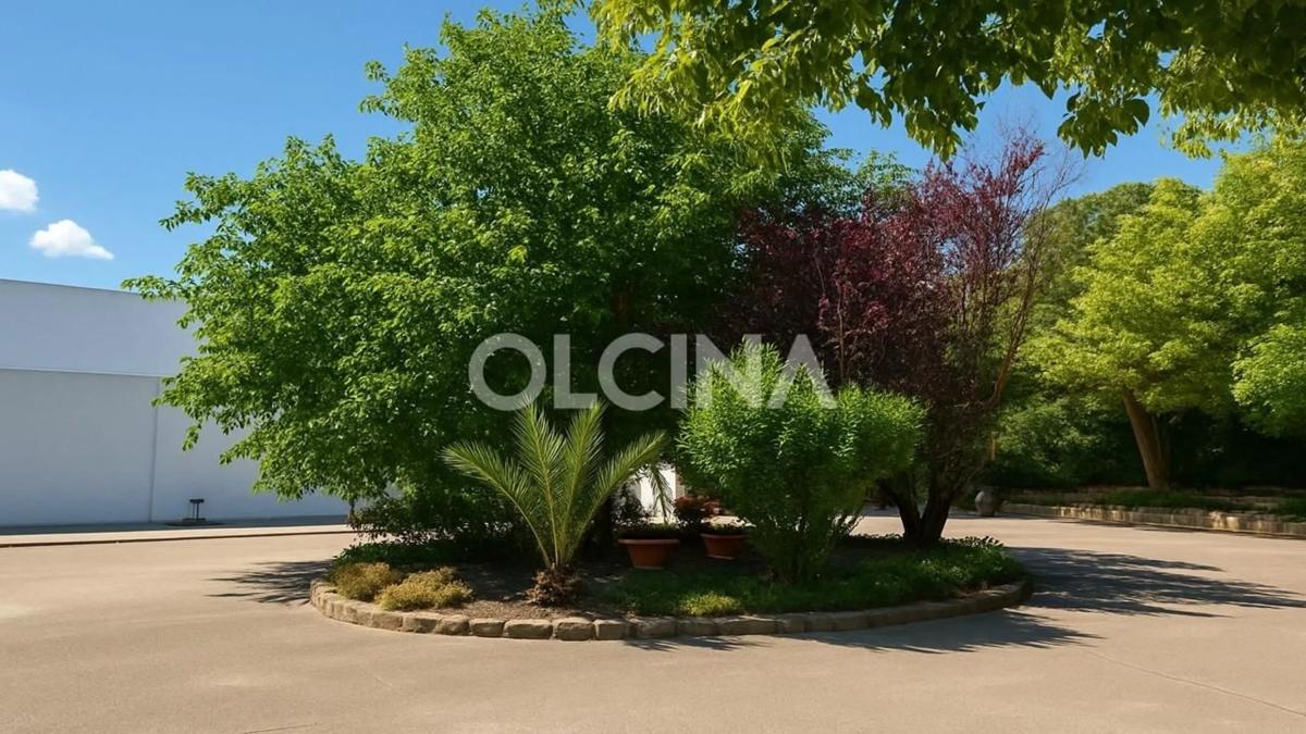 Properties for sale and rent in Spain photo 4