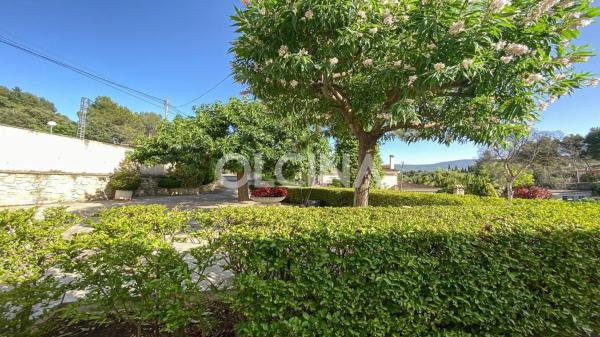 Casa independiente thumbnail 2