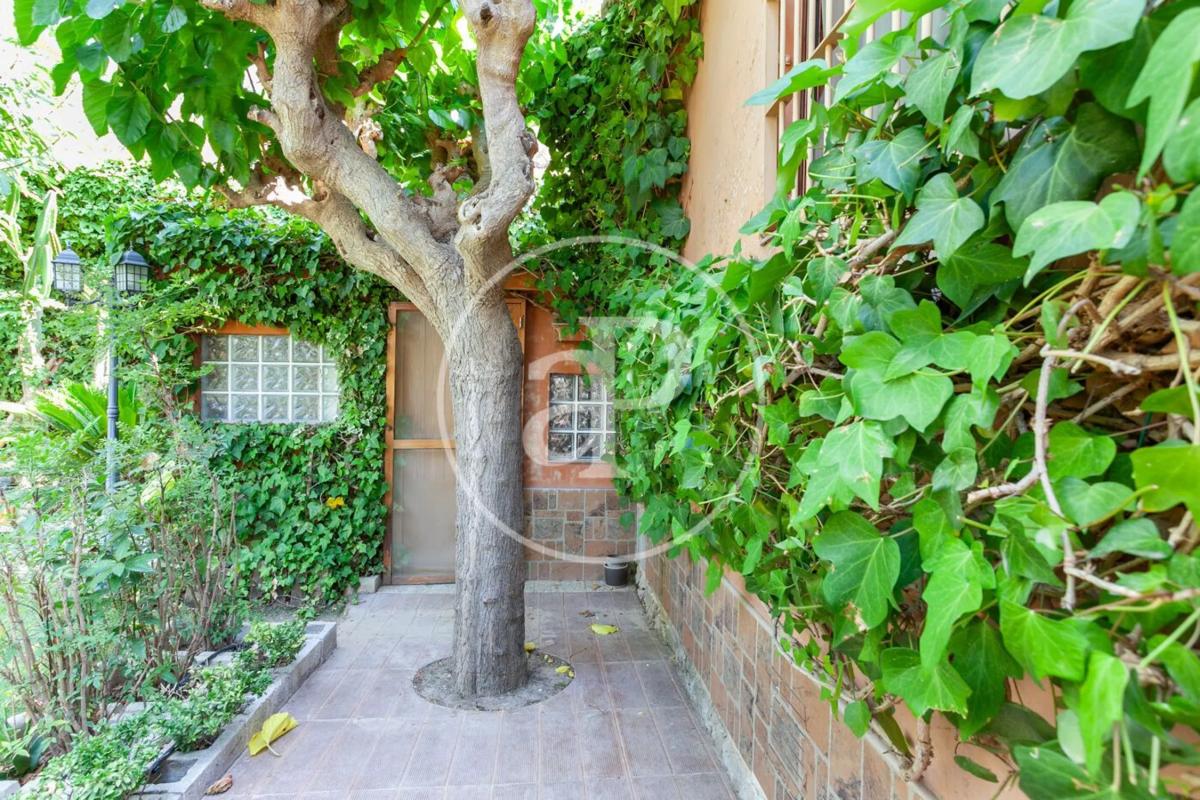 Properties for sale and rent in Spain photo 5