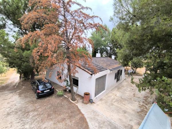 Rustic farm for sale in Sax , Sax photo 3