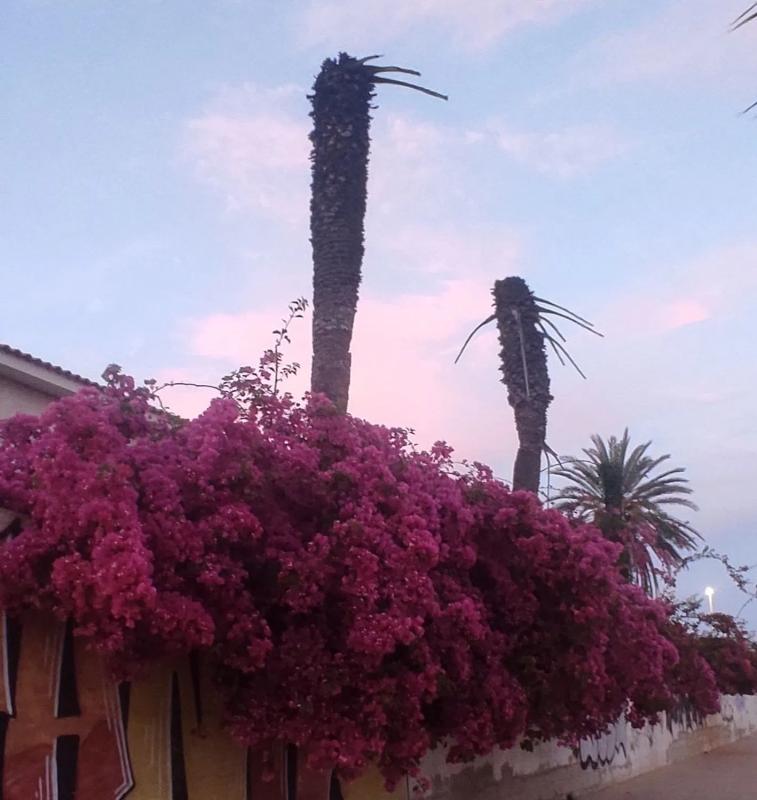 Properties for sale and rent in Spain photo 3