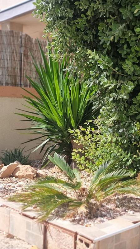 Duplex sale in Barrio La Siesta - El Salado - Torreta, Torrevieja photo 5