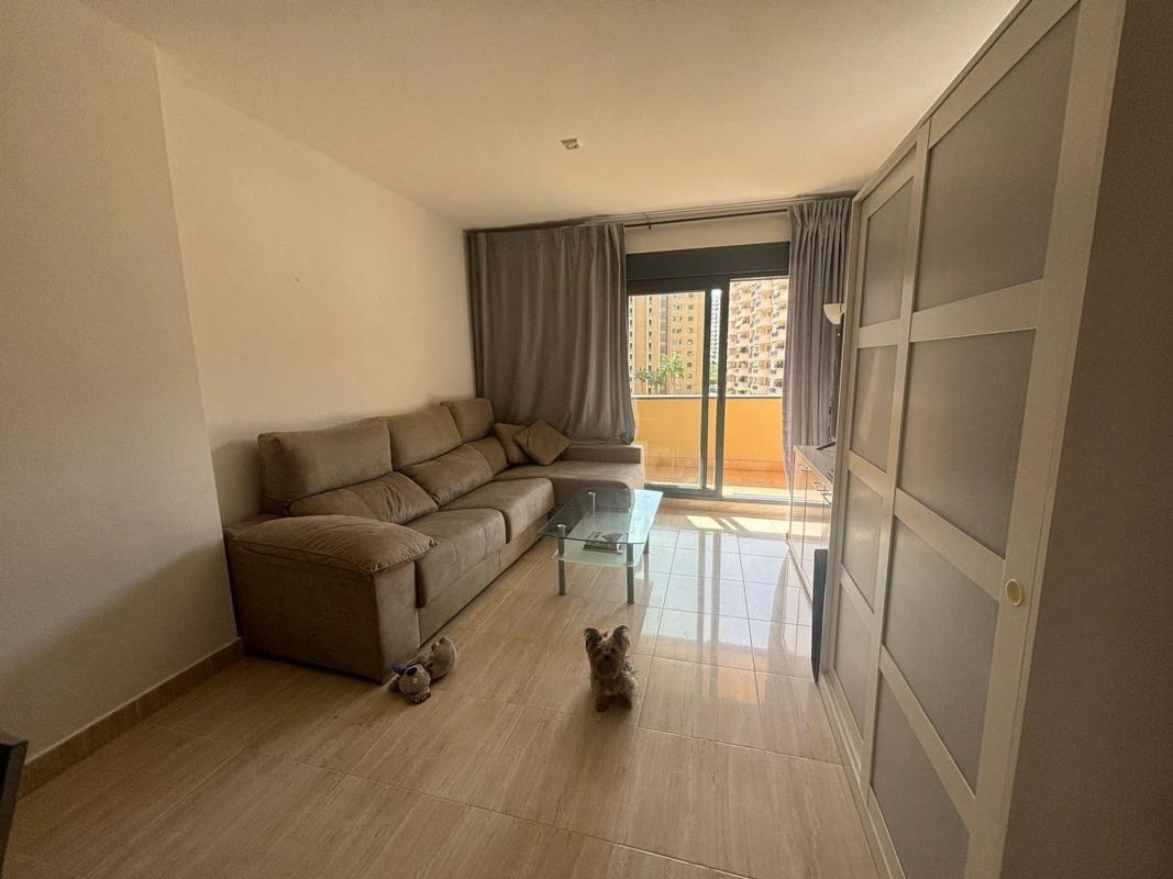 Sale of apartment in Barrio Bulevar - Puerta Mítica, La Villajoyosa / Vila Joiosa
 photo 2